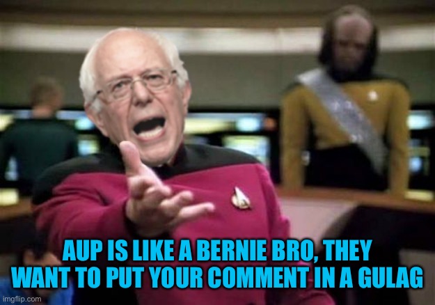 Or like recent noam chomsky comments, Aup will jail and starve you into submission | AUP IS LIKE A BERNIE BRO, THEY WANT TO PUT YOUR COMMENT IN A GULAG | image tagged in wtf bernie sanders,bernie and noam blows | made w/ Imgflip meme maker