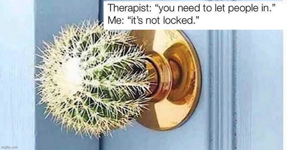 Same | image tagged in cactus | made w/ Imgflip meme maker