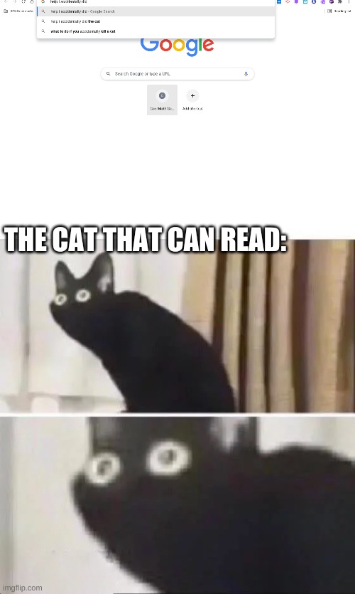 Kinda random | THE CAT THAT CAN READ: | image tagged in oh no black cat | made w/ Imgflip meme maker