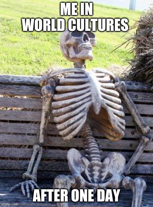 School | ME IN WORLD CULTURES; AFTER ONE DAY | image tagged in memes,waiting skeleton | made w/ Imgflip meme maker