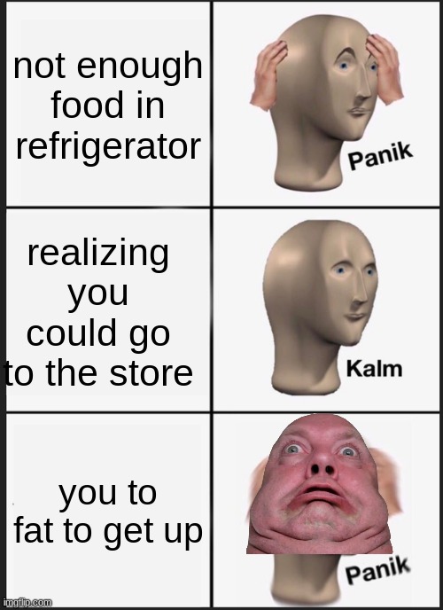 fat food | not enough food in refrigerator; realizing you could go to the store; you to fat to get up | image tagged in memes,panik kalm panik,fat guy | made w/ Imgflip meme maker