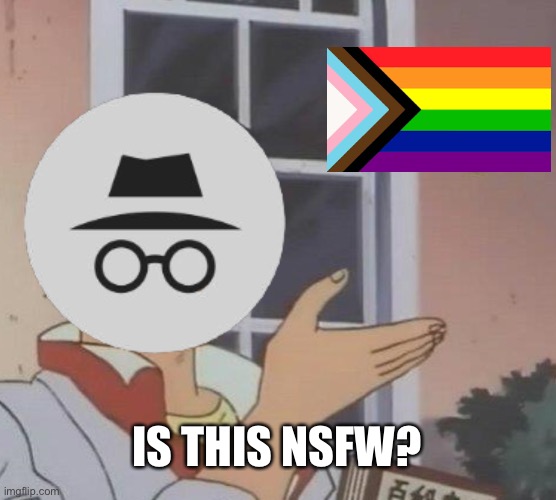 IncognitoGuy won't provide any rights for the LGBTQ, vote Envoy for President! | IS THIS NSFW? | made w/ Imgflip meme maker