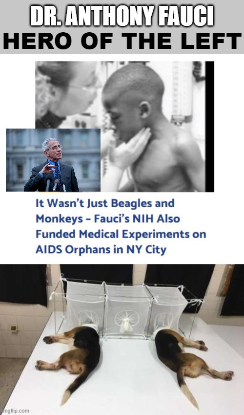 We are just beginning to expose America's Dr. Mengele | DR. ANTHONY FAUCI; HERO OF THE LEFT | image tagged in fauci,plandemic,covid hoax,vaxxed | made w/ Imgflip meme maker