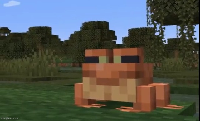 minecraft frog | image tagged in minecraft frog | made w/ Imgflip meme maker