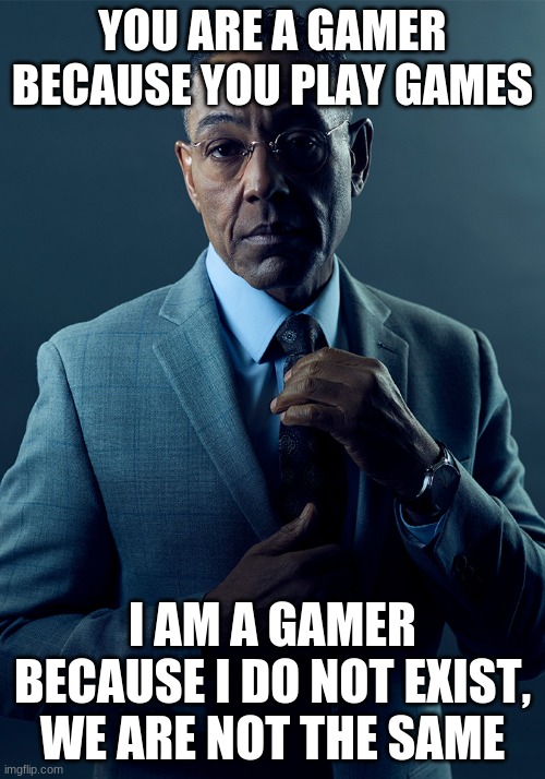 We are not the same | YOU ARE A GAMER BECAUSE YOU PLAY GAMES; I AM A GAMER BECAUSE I DO NOT EXIST, WE ARE NOT THE SAME | image tagged in we are not the same | made w/ Imgflip meme maker