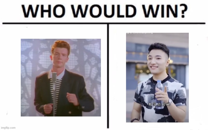Who Would Win? | image tagged in memes,who would win | made w/ Imgflip meme maker