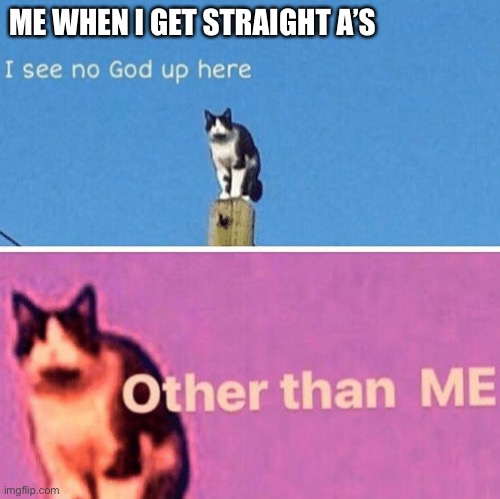 Hail pole cat | ME WHEN I GET STRAIGHT A’S | image tagged in hail pole cat | made w/ Imgflip meme maker