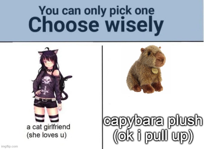ok i pull up? | capybara plush
(ok i pull up) | image tagged in choose wisely | made w/ Imgflip meme maker