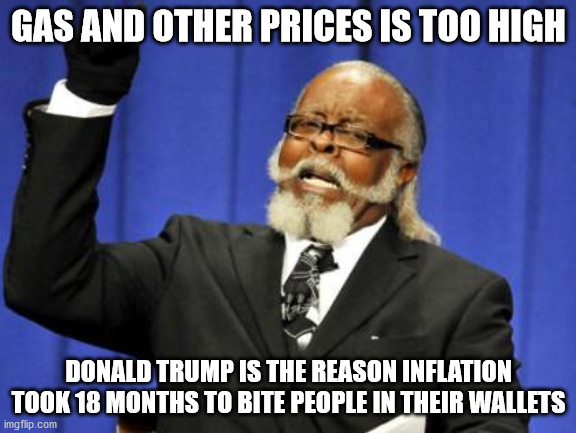 Inflation is too high. Trump is the reason | GAS AND OTHER PRICES IS TOO HIGH; DONALD TRUMP IS THE REASON INFLATION TOOK 18 MONTHS TO BITE PEOPLE IN THEIR WALLETS | image tagged in too damn high,inflation,donald trump,covid19 | made w/ Imgflip meme maker