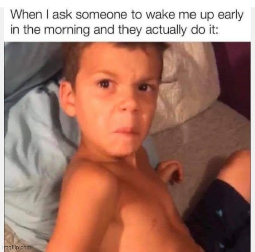 image tagged in funny memes | made w/ Imgflip meme maker