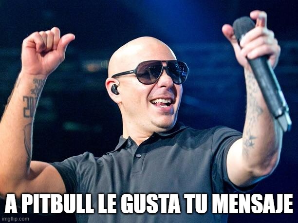 Pitbull |  A PITBULL LE GUSTA TU MENSAJE | image tagged in pitbull | made w/ Imgflip meme maker