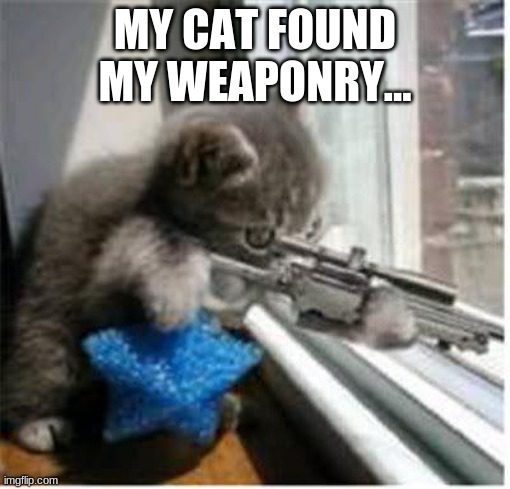 disclamer: not my cat. | MY CAT FOUND MY WEAPONRY... | image tagged in cats with guns | made w/ Imgflip meme maker