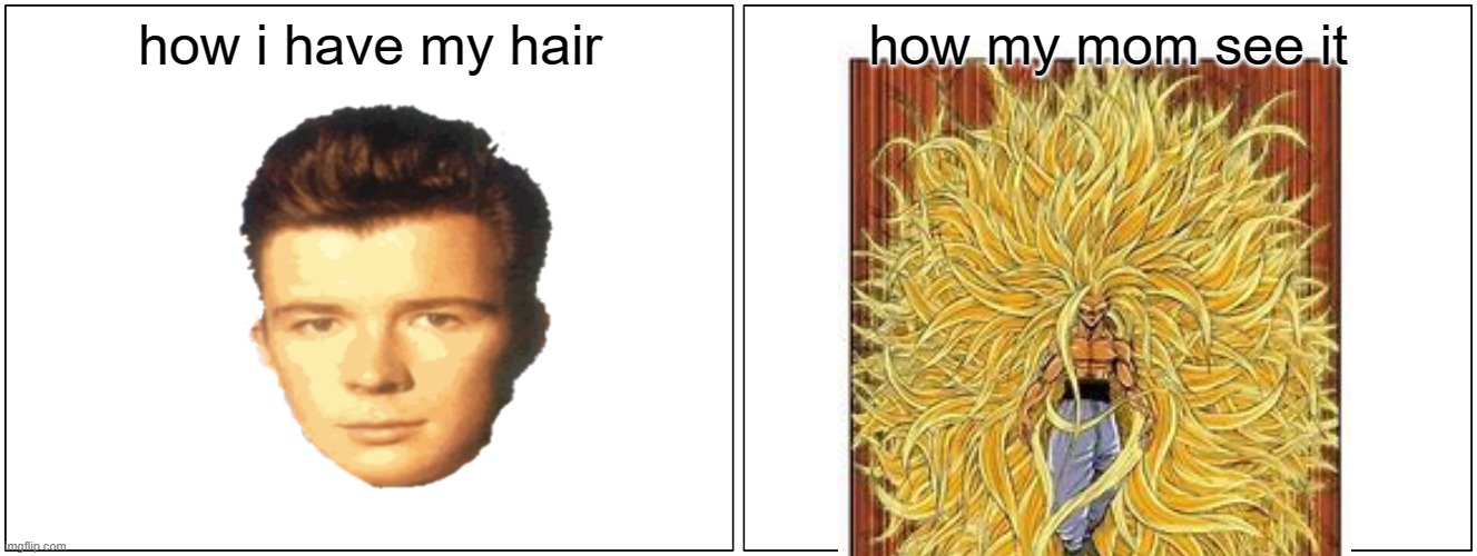 xd so true | how i have my hair; how my mom see it | image tagged in memes,blank comic panel 2x1 | made w/ Imgflip meme maker