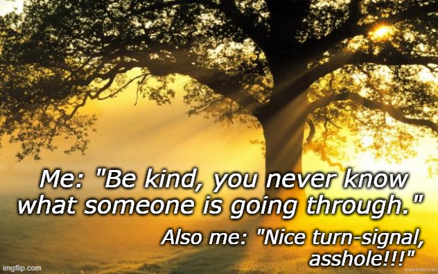 Be kind | Me: "Be kind, you never know what someone is going through."; Also me: "Nice turn-signal,
                    asshole!!!" | image tagged in demotivationals | made w/ Imgflip meme maker
