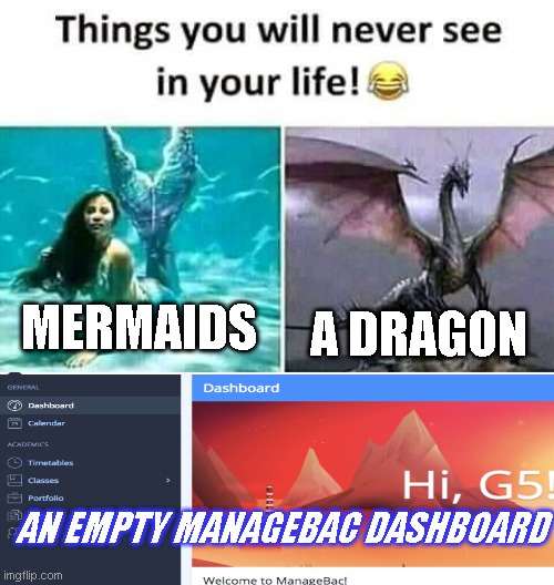 Ib schools | MERMAIDS; A DRAGON; AN EMPTY MANAGEBAC DASHBOARD | image tagged in things you will never see in your life | made w/ Imgflip meme maker