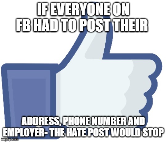 Facebook Like Button | IF EVERYONE ON FB HAD TO POST THEIR; ADDRESS, PHONE NUMBER AND EMPLOYER- THE HATE POST WOULD STOP | image tagged in facebook like button | made w/ Imgflip meme maker