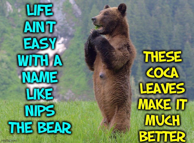Sticks 'n Stones may break my bones but flake will never hurt me | Life
Ain't
Easy
with a
name
like
Nips
the Bear; These
Coca
Leaves
make it
much
better | image tagged in vince vance,bears,memes,cocaine,leaves,nipples | made w/ Imgflip meme maker