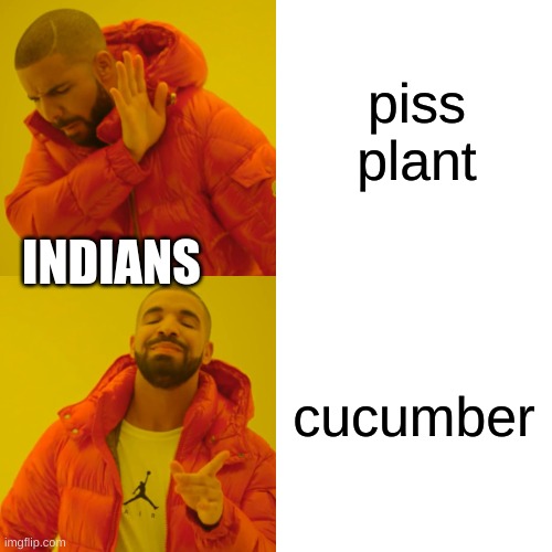 indians when naming cucumbers | piss plant; INDIANS; cucumber | image tagged in memes,drake hotline bling | made w/ Imgflip meme maker