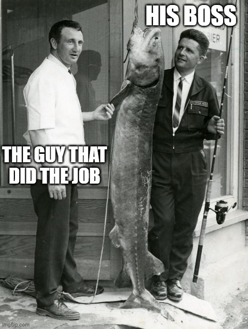 Annoyingly true | HIS BOSS; THE GUY THAT DID THE JOB | image tagged in that guy,so true | made w/ Imgflip meme maker