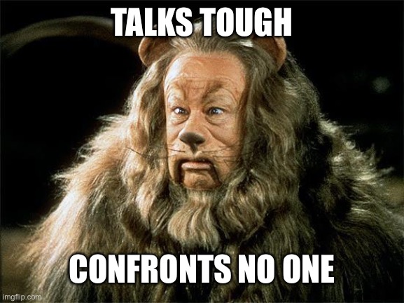 cowardly lion |  TALKS TOUGH; CONFRONTS NO ONE | image tagged in cowardly lion | made w/ Imgflip meme maker