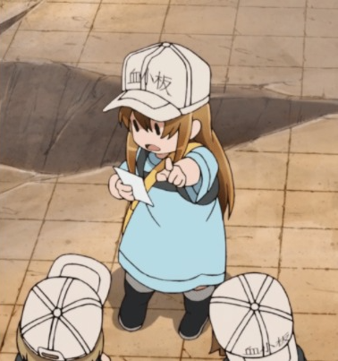 High Quality Platelet reading a note Blank Meme Template