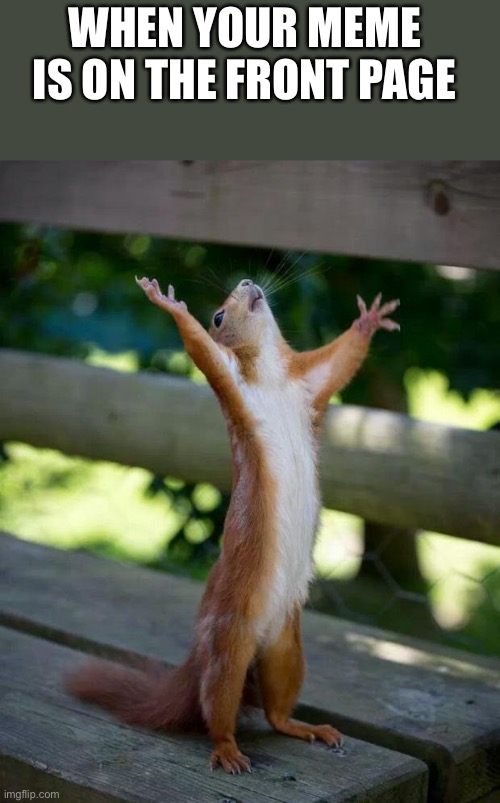 Happy Squirrel | WHEN YOUR MEME  IS ON THE FRONT PAGE | image tagged in happy squirrel,memes | made w/ Imgflip meme maker
