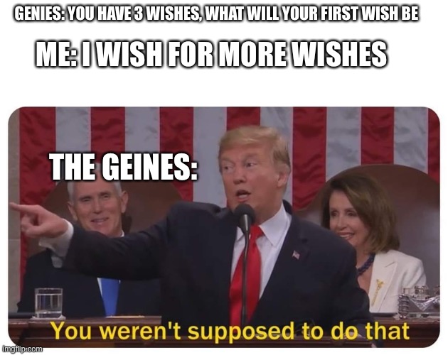 You werent supposed to do that | ME: I WISH FOR MORE WISHES; GENIES: YOU HAVE 3 WISHES, WHAT WILL YOUR FIRST WISH BE; THE GEINES: | image tagged in you werent supposed to do that | made w/ Imgflip meme maker
