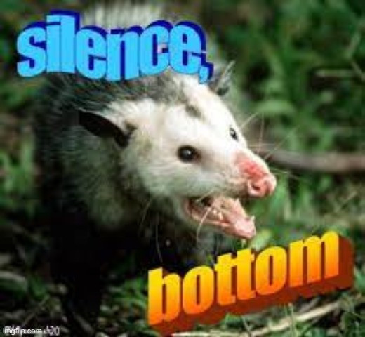 Silence, Bottom. | image tagged in silence | made w/ Imgflip meme maker