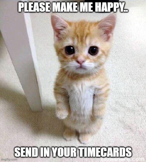 Cute Cat | PLEASE MAKE ME HAPPY.. SEND IN YOUR TIMECARDS | image tagged in memes,cute cat | made w/ Imgflip meme maker