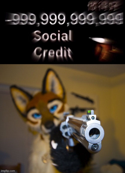 image tagged in -999 999 999 999 social credit,furry with gun | made w/ Imgflip meme maker