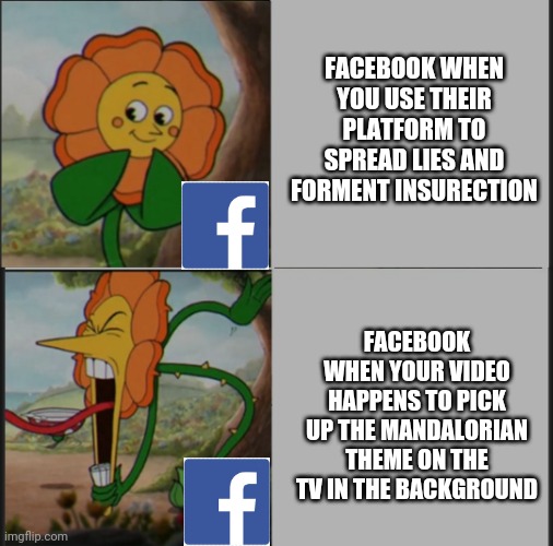 F**k Facebook | FACEBOOK WHEN YOU USE THEIR PLATFORM TO SPREAD LIES AND FORMENT INSURECTION; FACEBOOK WHEN YOUR VIDEO HAPPENS TO PICK UP THE MANDALORIAN THEME ON THE TV IN THE BACKGROUND | image tagged in facebook,copyright,funny | made w/ Imgflip meme maker