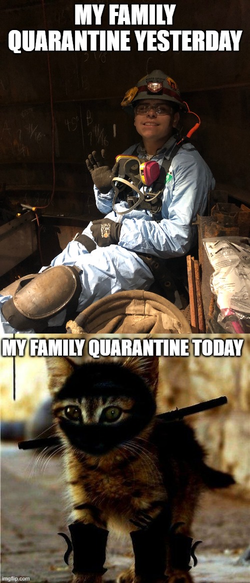 High defense and space | MY FAMILY QUARANTINE YESTERDAY; MY FAMILY QUARANTINE TODAY | image tagged in refinery noobs,ninja cat | made w/ Imgflip meme maker