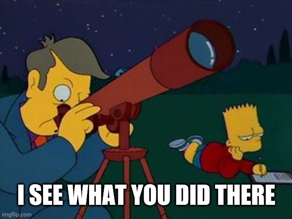 skinner telescope | I SEE WHAT YOU DID THERE | image tagged in skinner telescope | made w/ Imgflip meme maker