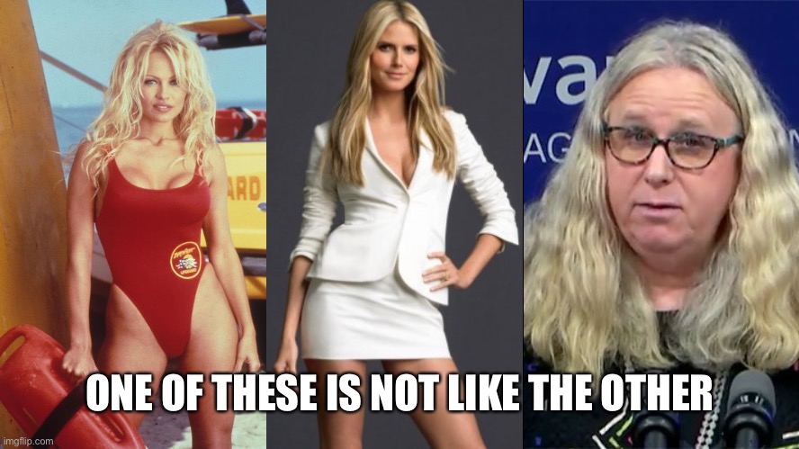 I mean come on, man. | ONE OF THESE IS NOT LIKE THE OTHER | image tagged in memes,pamela anderson,heidi klum,rachel levine,transgender,men and women | made w/ Imgflip meme maker