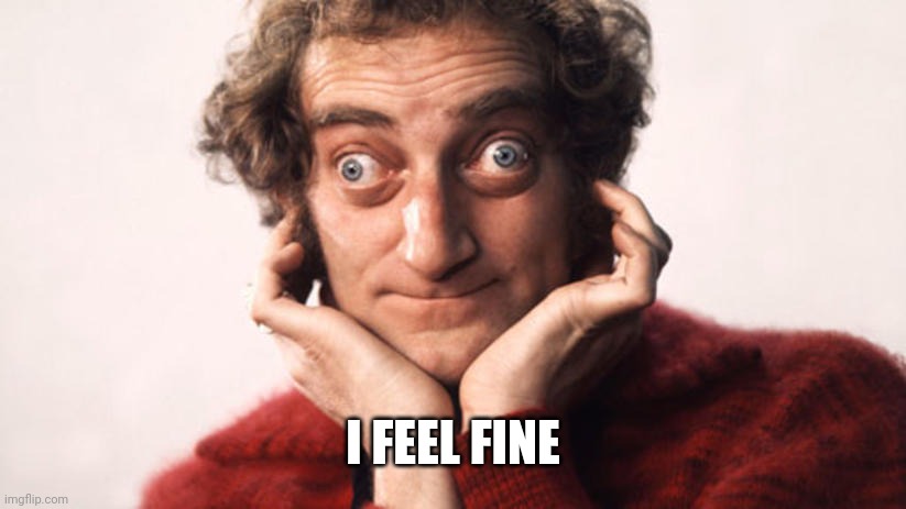 marty feldman strabico strabismo | I FEEL FINE | image tagged in marty feldman strabico strabismo | made w/ Imgflip meme maker