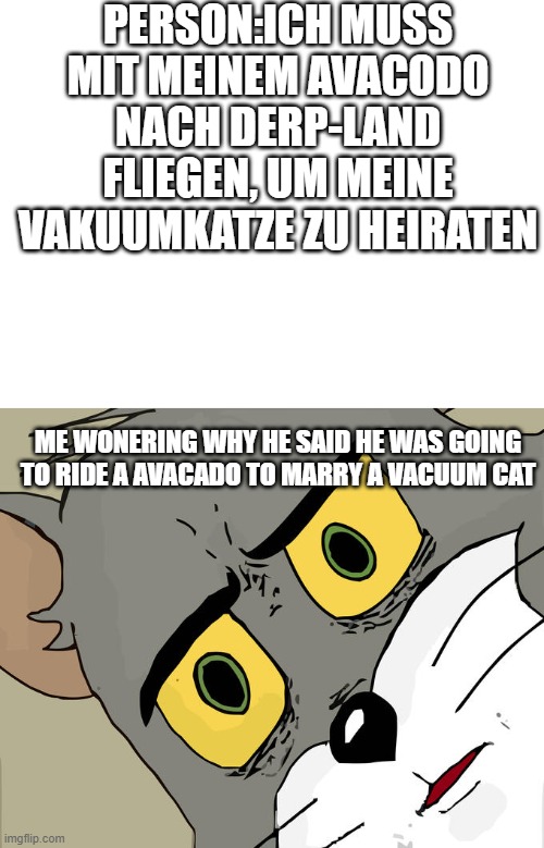 wut... | PERSON:ICH MUSS MIT MEINEM AVACODO NACH DERP-LAND FLIEGEN, UM MEINE VAKUUMKATZE ZU HEIRATEN; ME WONERING WHY HE SAID HE WAS GOING TO RIDE A AVACADO TO MARRY A VACUUM CAT | image tagged in blank white template,memes,unsettled tom | made w/ Imgflip meme maker