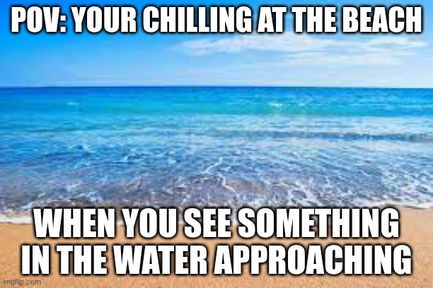 slow replies | POV: YOUR CHILLING AT THE BEACH; WHEN YOU SEE SOMETHING IN THE WATER APPROACHING | image tagged in roleplaying | made w/ Imgflip meme maker