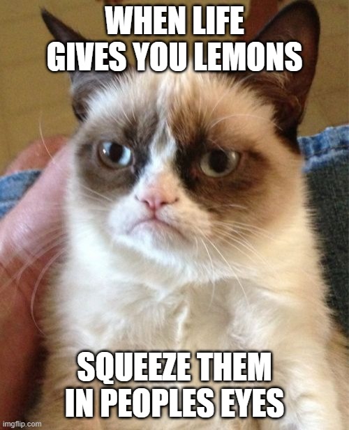 Grumpy Cat Meme | WHEN LIFE GIVES YOU LEMONS; SQUEEZE THEM IN PEOPLES EYES | image tagged in memes,grumpy cat | made w/ Imgflip meme maker