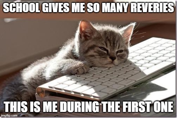 Bored Keyboard Cat | SCHOOL GIVES ME SO MANY REVERIES; THIS IS ME DURING THE FIRST ONE | image tagged in bored keyboard cat | made w/ Imgflip meme maker
