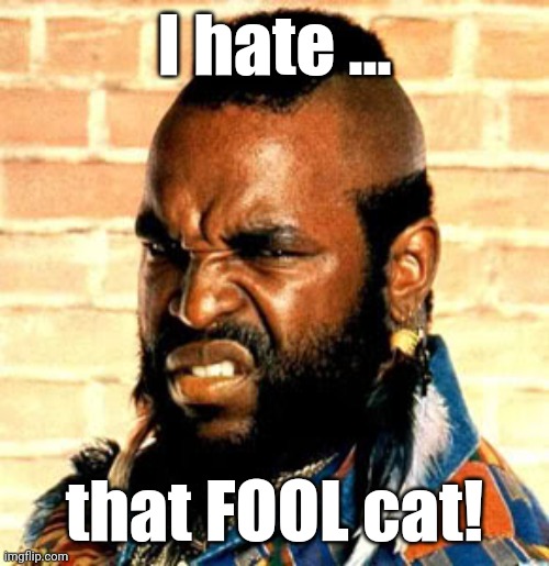 Mr T. sez | I hate ... that FOOL cat! | image tagged in mr t sez | made w/ Imgflip meme maker