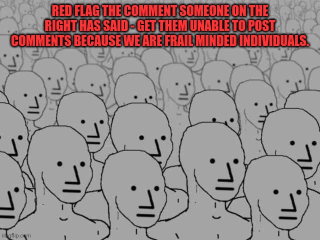 How the left operates.  You say something and they log in to their alt accounts and flag you. | RED FLAG THE COMMENT SOMEONE ON THE RIGHT HAS SAID - GET THEM UNABLE TO POST COMMENTS BECAUSE WE ARE FRAIL MINDED INDIVIDUALS. | image tagged in npc crowd | made w/ Imgflip meme maker