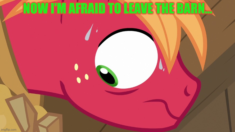 Feared Big Macintosh (MLP) | NOW I'M AFRAID TO LEAVE THE BARN... | image tagged in feared big macintosh mlp | made w/ Imgflip meme maker