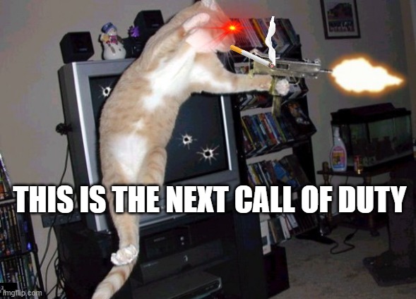 CALL OF DUTY KITTY STYLE | THIS IS THE NEXT CALL OF DUTY | image tagged in call of duty kitty style | made w/ Imgflip meme maker