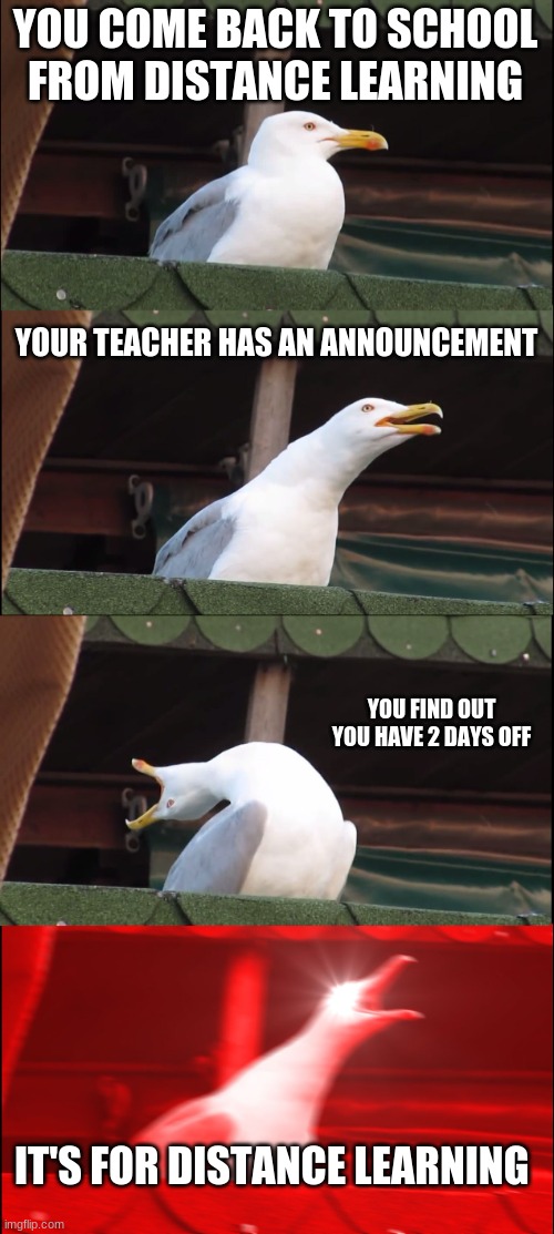 Inhaling Seagull | YOU COME BACK TO SCHOOL FROM DISTANCE LEARNING; YOUR TEACHER HAS AN ANNOUNCEMENT; YOU FIND OUT YOU HAVE 2 DAYS OFF; IT'S FOR DISTANCE LEARNING | image tagged in memes,inhaling seagull | made w/ Imgflip meme maker