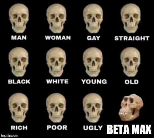 idiot skull | BETA MAX | image tagged in idiot skull | made w/ Imgflip meme maker