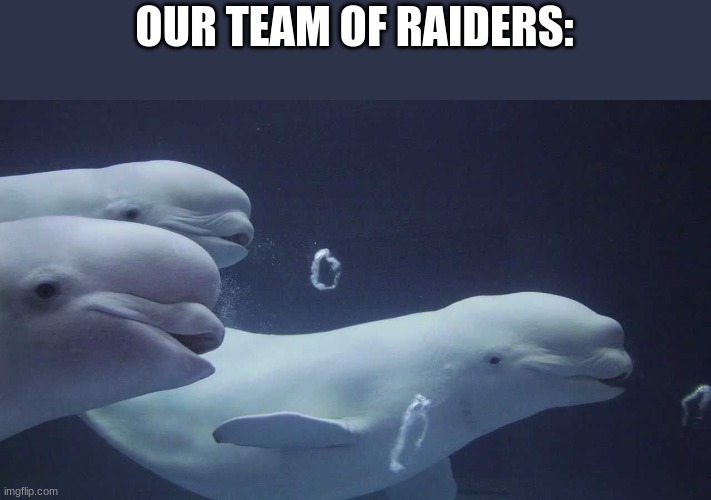 OUR TEAM OF RAIDERS: | made w/ Imgflip meme maker