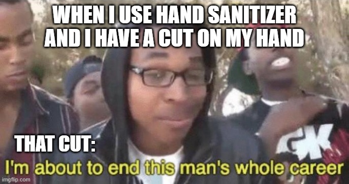 I’m about to end this man’s whole career | WHEN I USE HAND SANITIZER AND I HAVE A CUT ON MY HAND; THAT CUT: | image tagged in i m about to end this man s whole career | made w/ Imgflip meme maker