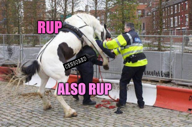 Don’t get rupped by a horse, vote for the LA to put the horse wang away | RUP ALSO RUP | made w/ Imgflip meme maker