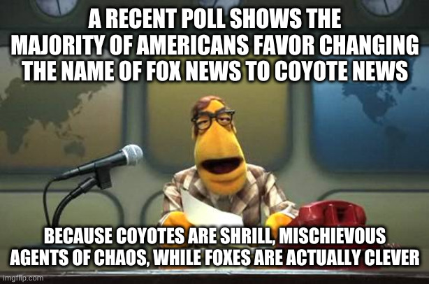 But they can't because then they'd be accurately representing something | A RECENT POLL SHOWS THE MAJORITY OF AMERICANS FAVOR CHANGING THE NAME OF FOX NEWS TO COYOTE NEWS; BECAUSE COYOTES ARE SHRILL, MISCHIEVOUS AGENTS OF CHAOS, WHILE FOXES ARE ACTUALLY CLEVER | image tagged in muppet news flash | made w/ Imgflip meme maker