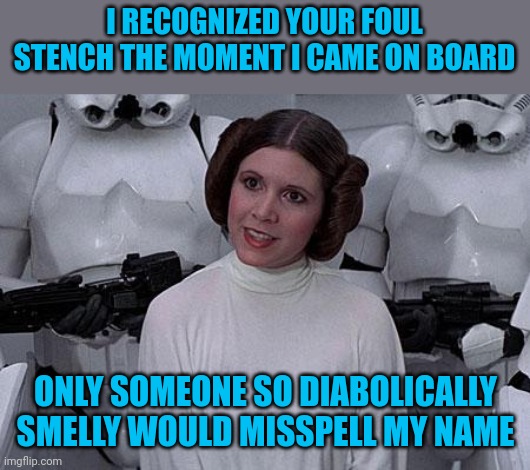 Princess Leia | I RECOGNIZED YOUR FOUL STENCH THE MOMENT I CAME ON BOARD ONLY SOMEONE SO DIABOLICALLY SMELLY WOULD MISSPELL MY NAME | image tagged in princess leia | made w/ Imgflip meme maker